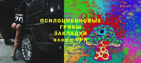 молекула духа Бронницы