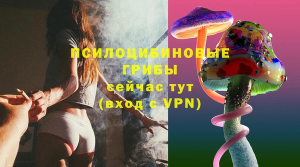 шишки Верхнеуральск