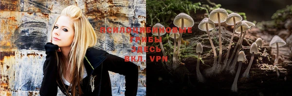шишки Верхнеуральск
