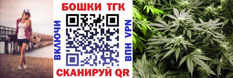 Конопля сатива  shop какой сайт  Канск 